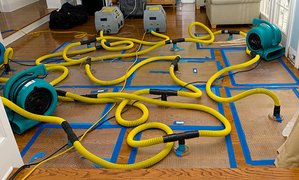 Professional Structural Drying And Dehumidification technician working in Northport, WA